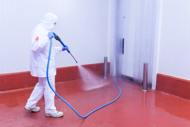 Boat and Dock Cleaning in Saddle River, NJ