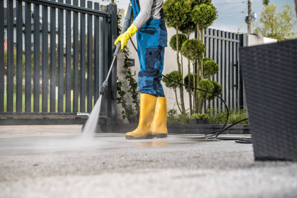 Best Soft Washing  in Saddle River, NJ